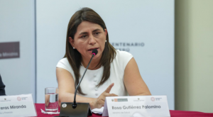 Rosa Gutiérrez: alistan moción de censura contra ministra de Salud