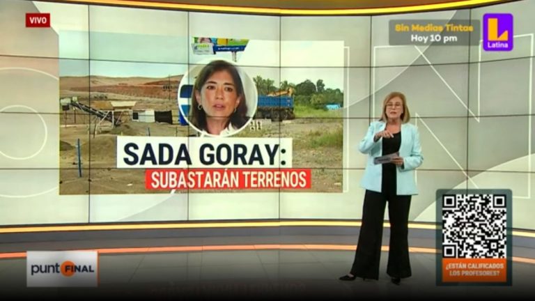 Caso Sada Goray y su vinculación con proyectos inmobiliarios: subastarán terrenos