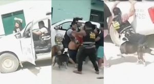 Cajamarca: familia de alcalde atacan a policías durante intervención