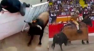 Cajamarca: toro salta valla de seguridad y causa pánico en los espectadores