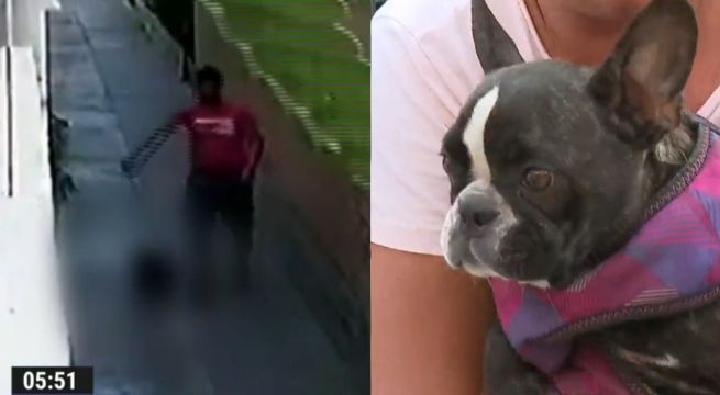 ¡Indignante! Hombre maltrata a su perro y lo multan con media UIT