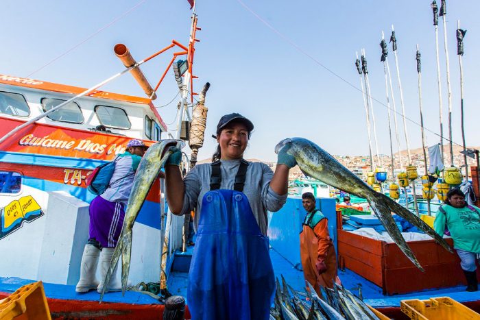 Nuevo bono de 700 soles para pescadores ¿cuándo inicia y cuántos serán los beneficiados