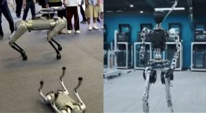 Perros robots y humanoides con IA causan sensación en China