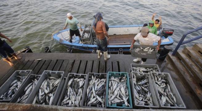 Conozca cómo acceder al bono para pescadores que ofrece el gobierno