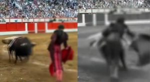 Andrés Roca Rey: este es el estado de salud del torero peruano tras terrible embestida