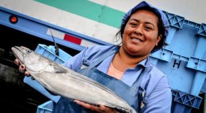 Bonito, caballa y atunes se trasladaron al sur por el fenómeno ‘El Niño’