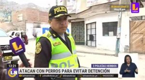 Policías son atacados por perros pitbull durante intervención a presuntos extorsionadores