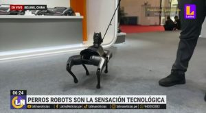 Beijing: Perro robot captó la atención en conferencia mundial | VIDEO