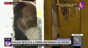 Así fue el rescate de perrito que fue encerrado en kiosko | VIDEO