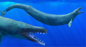 Egipto descubre a la ballena extinta más antigua de África