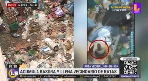 Entre ratas y basura: anciana de 70 años vive en pésimas condiciones en el Callao