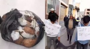 Cajamarca: capturan a banda de ‘robacuyes’ liderada por una mujer