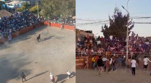 Ayacucho: corrida de toros termina en pelea y deja un muerto