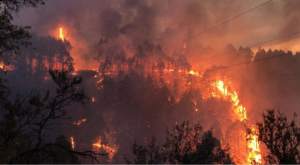 Incendio en Tenerife: autoridades explican «evolución favorable» de siniestro en España