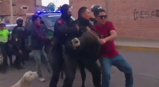 Huancayo: toro escapa de Santiago y genera temor en transeúntes