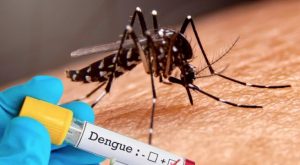Dengue en Perú: cinco regiones mantienen una elevada tasa de casos desde mayo