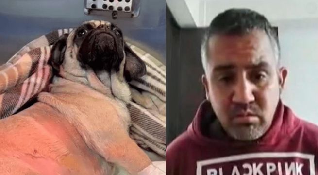 Caso ‘Dachi’: ¿cómo fue que sentenciaron en 48 horas al hombre que acuchilló a la perrita?