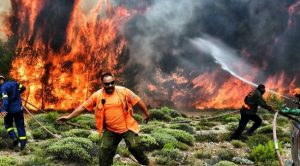 Grecia: Se registra el mayor incendio forestal en la historia de la Unión Europea