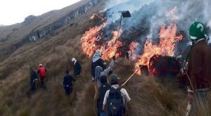 Trasladan a Lima a ocho heridos en incendio forestal en Apurímac