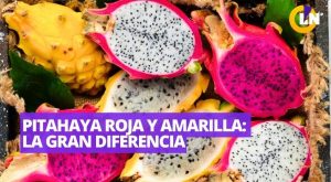 Estas son las diferencias entre la pitahaya roja y amarilla