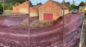 Río de vino tinto inundó pueblo de Portugal