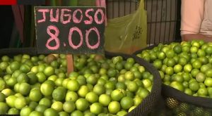 Desde limón colombiano hasta el súper extra: conoce sus características y precios