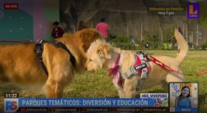 La variedad de parques temáticos para niños y perritos en Lima