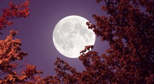 Luna de la cosecha: cuándo veremos la próxima superluna
