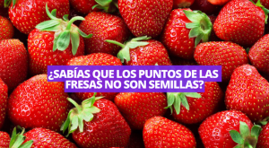 Conoce para qué sirven los puntitos de las fresas y qué beneficios traen a tu salud