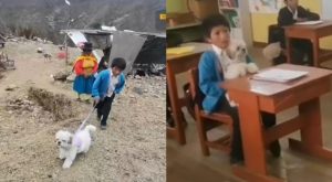 Huánuco: Niño asiste al colegio junto a su mascota