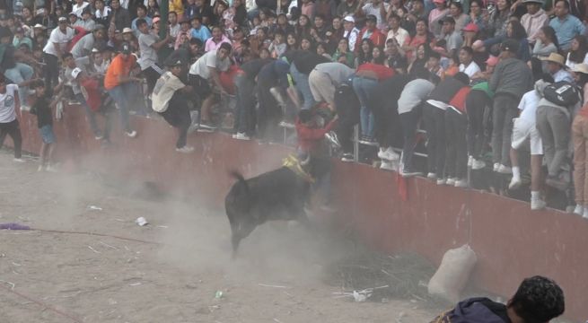 Jóvenes quedan heridos tras sufrir ataque de toros durante fiesta patronal