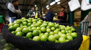 Precio del limón se disparó en un 70 % en agosto