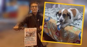 Abuelito busca a su perrita ‘Nana’ recorriendo Lima en bicicleta