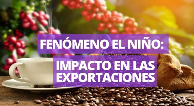 Exportación de café disminuye en casi un 70% tras impacto del fenómeno El Niño