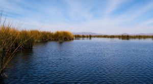 Severa sequía en la región andina afecta al Lago Titicaca