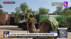 Marrakech: médico peruano expuso sobre la carencia del agua en conferencia mundial