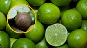 Cuánto cuesta el limón ‘pavita’ y cómo luce 