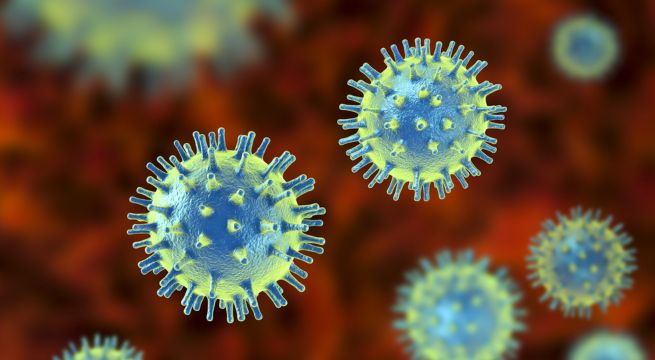 El virus que aún no llega, pero podría ser «20 veces» más mortal que la COVID-19