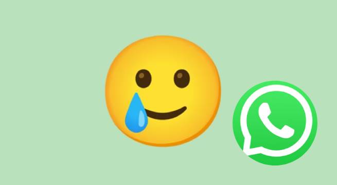 Qu significa el emoji de la carita con una l grima en WhatsApp