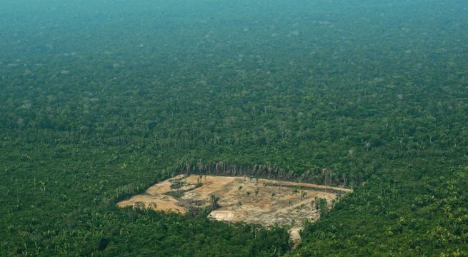 Descubren que la Amazonía tiene más de 10.000 estructuras precolombinas ocultas