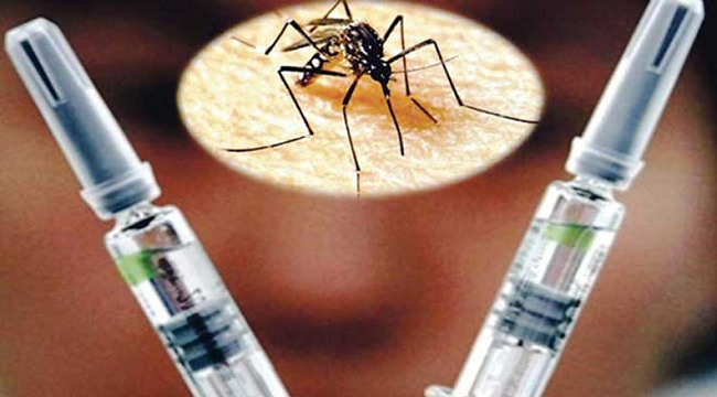 OMS: Se recomienda la primera vacuna contra el dengue