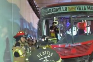 Panamericana Sur: choque entre buses deja 9 heridos, entre ellas una mujer embarazada
