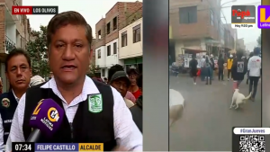 Alcalde de los Olivos: “Criminalidad en el distrito creció un 25%” | VIDEO  