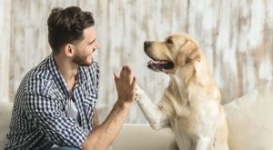 Estudio revela que los perros tienen un impacto positivo en la salud mental y reducción de estrés