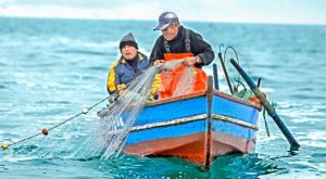 Bono del Pescador: cuándo sale y cómo saber si soy beneficiario