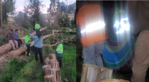 Escolar muere aplastada por dos árboles en Huancayo