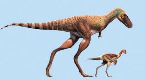 Descubren restos de crías de dinosaurio dentro de un fósil de un tiranosaurio