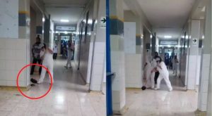 EsSalud: prominente rata genera pánico en hospital de Huacho