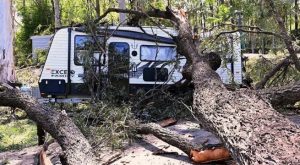 Diez personas pierden la vida tras fuertes tormentas en Australia