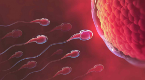 Por qué es importante hablar sobre la fertilidad, incluso si no deseas tener hijos